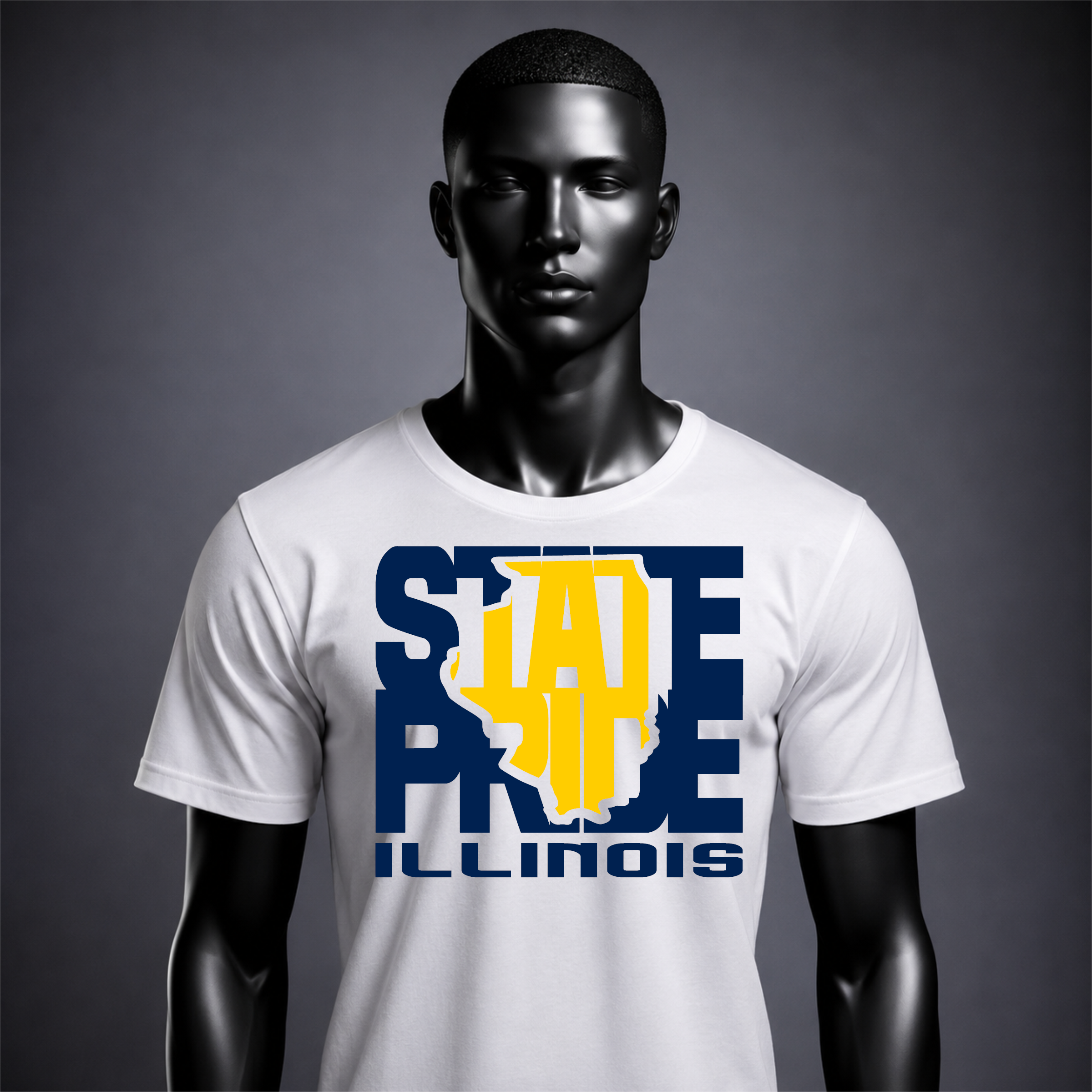 State Pride: Illinois